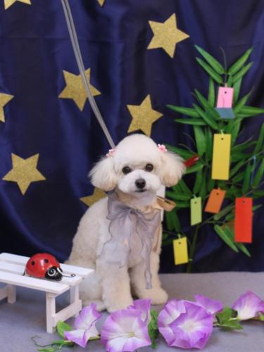 20230716ポコちゃん